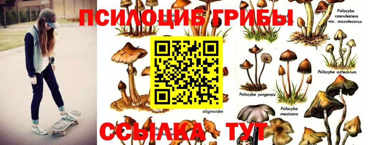 Псилоцибиновые грибы GOLDEN TEACHER  Вход с VPN  Галлюциногенные грибы мицелий  купить  цена  Заводоуковск 